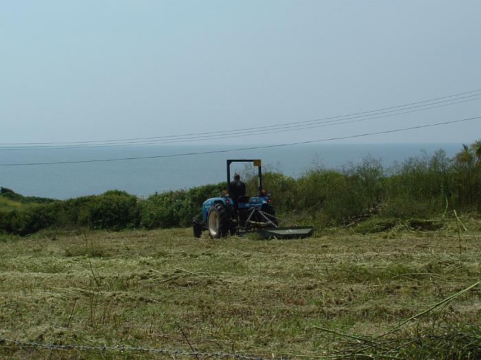 2 Clearing the Field (15)